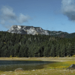 The Smart Traveler’s Guide to Bozeman 4WD Rentals